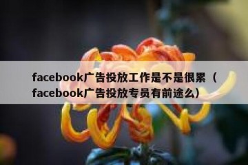 facebook广告投放工作是不是很累（facebook广告投放专员有前途么）