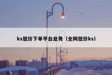 ks低价下单平台业务（全网低价ks）