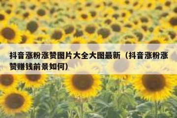 抖音涨粉涨赞图片大全大图最新（抖音涨粉涨赞赚钱前景如何）