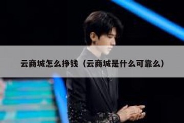 云商城怎么挣钱（云商城是什么可靠么）