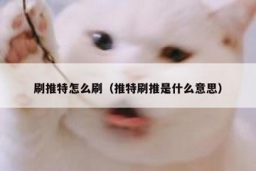 刷推特怎么刷（推特刷推是什么意思）