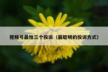 视频号最怕三个投诉（最聪明的投诉方式）