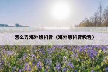 怎么弄海外版抖音（海外版抖音教程）