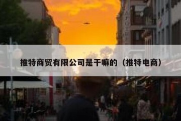 推特商贸有限公司是干嘛的（推特电商）