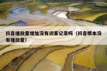 抖音播放量增加没有访客记录吗（抖音根本没有播放量）