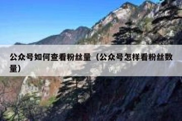公众号如何查看粉丝量（公众号怎样看粉丝数量）