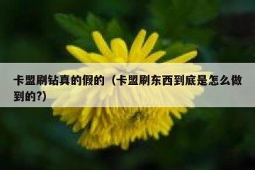 卡盟刷钻真的假的（卡盟刷东西到底是怎么做到的?）