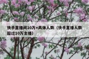快手直播间10万+具体人数（快手直播人数超过10万主播）