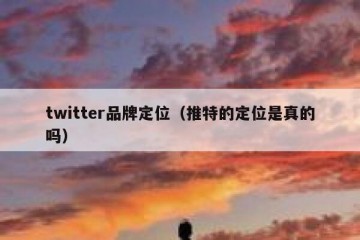 twitter品牌定位（推特的定位是真的吗）