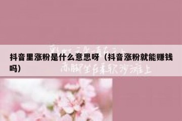 抖音里涨粉是什么意思呀（抖音涨粉就能赚钱吗）