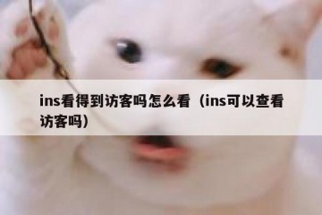 ins看得到访客吗怎么看（ins可以查看访客吗）
