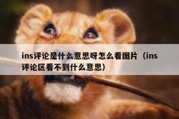 ins评论是什么意思呀怎么看图片（ins评论区看不到什么意思）