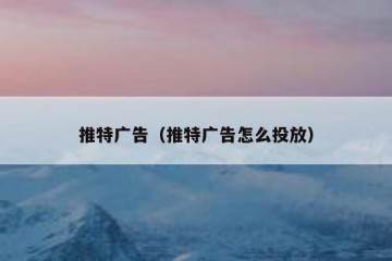 推特广告（推特广告怎么投放）