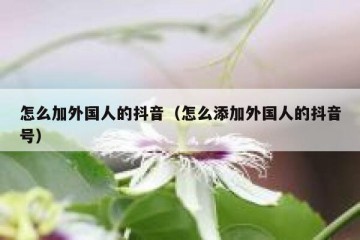 怎么加外国人的抖音（怎么添加外国人的抖音号）