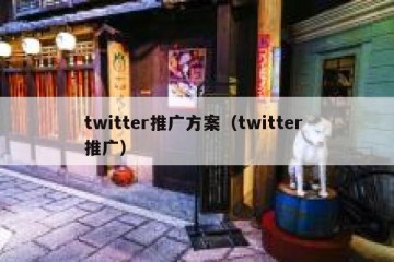 twitter推广方案（twitter 推广）