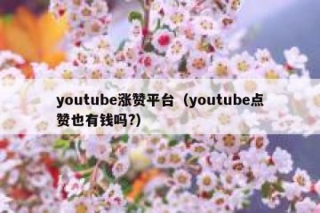 youtube涨赞平台（youtube点赞也有钱吗?）