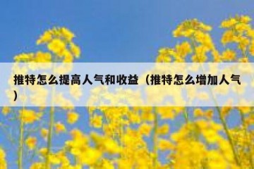 推特怎么提高人气和收益（推特怎么增加人气）