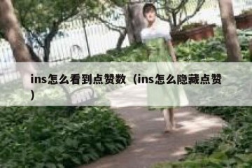 ins怎么看到点赞数（ins怎么隐藏点赞）