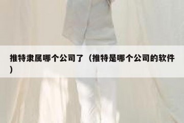 推特隶属哪个公司了（推特是哪个公司的软件）
