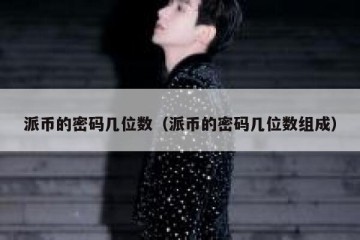 派币的密码几位数（派币的密码几位数组成）