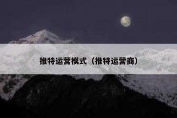 推特运营模式（推特运营商）