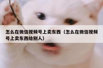 怎么在微信视频号上卖东西（怎么在微信视频号上卖东西给别人）