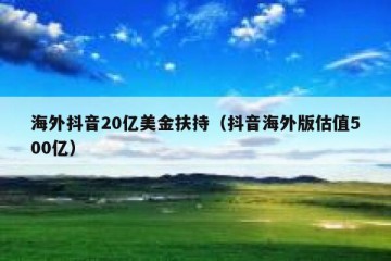 海外抖音20亿美金扶持（抖音海外版估值500亿）