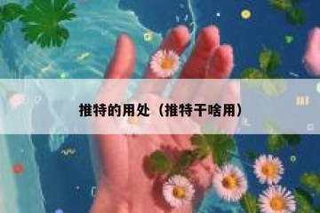 推特的用处（推特干啥用）
