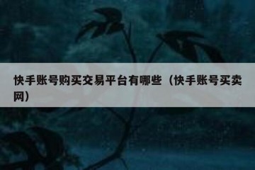 快手账号购买交易平台有哪些（快手账号买卖网）