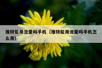 推特能用流量吗手机（推特能用流量吗手机怎么用）