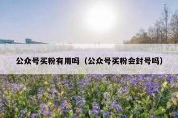 公众号买粉有用吗（公众号买粉会封号吗）