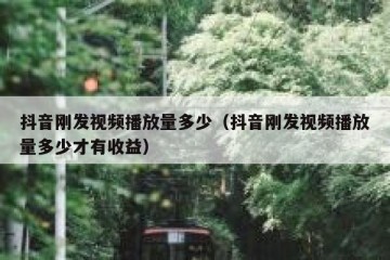 抖音刚发视频播放量多少（抖音刚发视频播放量多少才有收益）