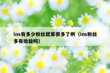 ins有多少粉丝就算很多了啊（ins粉丝多有收益吗）