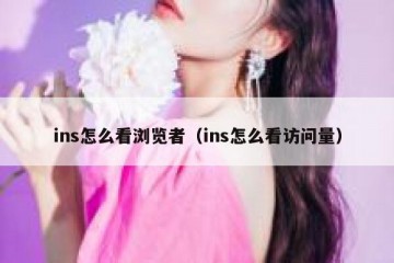 ins怎么看浏览者（ins怎么看访问量）