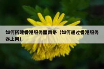 如何搭建香港服务器网络（如何通过香港服务器上网）