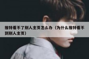 推特看不了别人主页怎么办（为什么推特看不到别人主页）