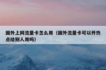 国外上网流量卡怎么用（国外流量卡可以开热点给别人用吗）