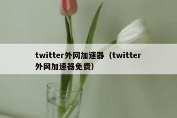 twitter外网加速器（twitter外网加速器免费）