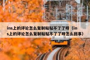 ins上的评论怎么复制粘贴不了了呀（ins上的评论怎么复制粘贴不了了呀怎么回事）