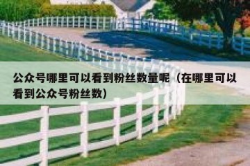 公众号哪里可以看到粉丝数量呢（在哪里可以看到公众号粉丝数）