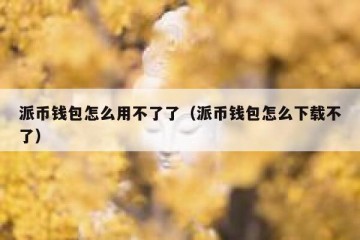派币钱包怎么用不了了（派币钱包怎么下载不了）