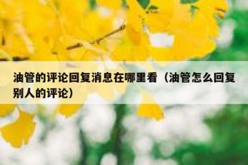 油管的评论回复消息在哪里看（油管怎么回复别人的评论）
