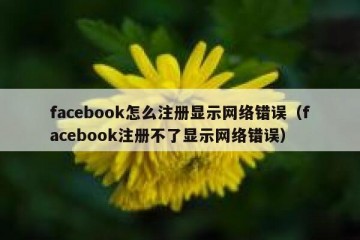 facebook怎么注册显示网络错误（facebook注册不了显示网络错误）