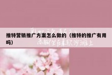 推特营销推广方案怎么做的（推特的推广有用吗）