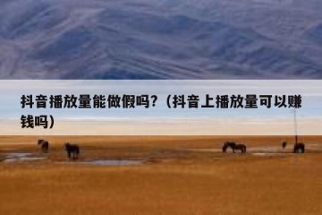 抖音播放量能做假吗?（抖音上播放量可以赚钱吗）