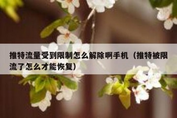 推特流量受到限制怎么解除啊手机（推特被限流了怎么才能恢复）