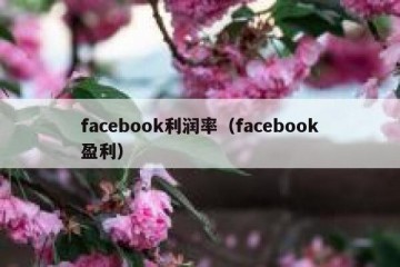 facebook利润率（facebook盈利）