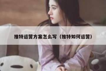 推特运营方案怎么写（推特如何运营）