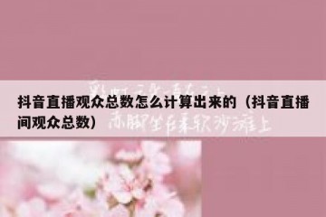 抖音直播观众总数怎么计算出来的（抖音直播间观众总数）
