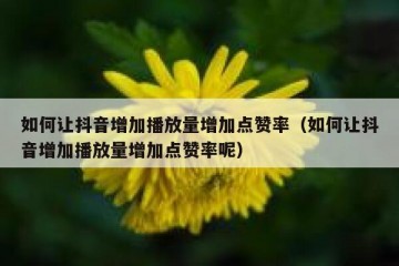 如何让抖音增加播放量增加点赞率（如何让抖音增加播放量增加点赞率呢）